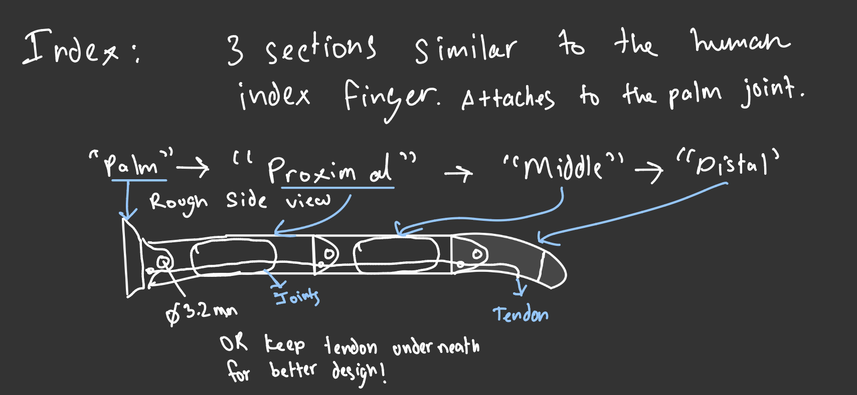 Early index finger concept showing palm, proximal, middle, and distal segments, pivot joints, and a proposed tendon path. Preliminary design, not a tested mechanism.